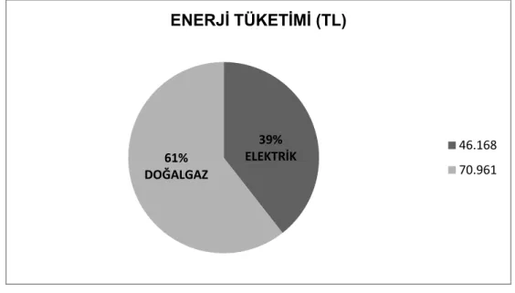 Grafik 2: Enerji Tüketimi (TL) 