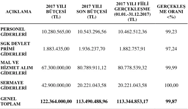 Çizelge 4.6: Deniz Hizmetleri Müdürlüğü’nün 2017 Yılı Bütçesi 