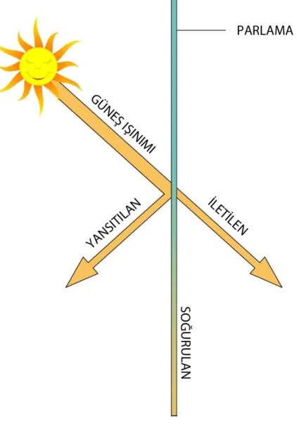 Şekil 3.3: Pencere ve Güneş Işınımının Etkileşimi (Waterloo Architecture, 2011) 