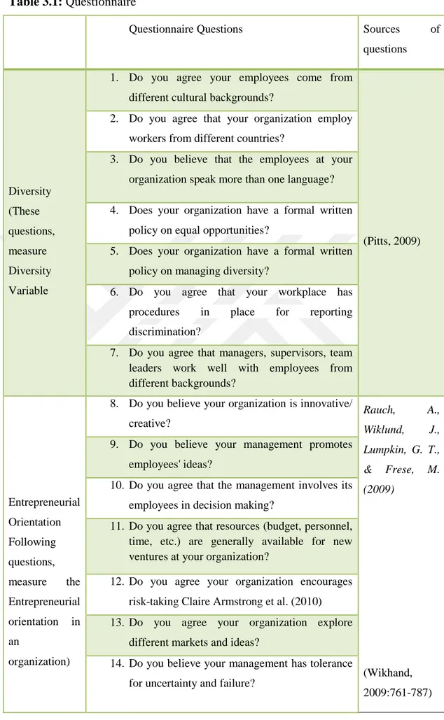 Table 3.1: Questionnaire 