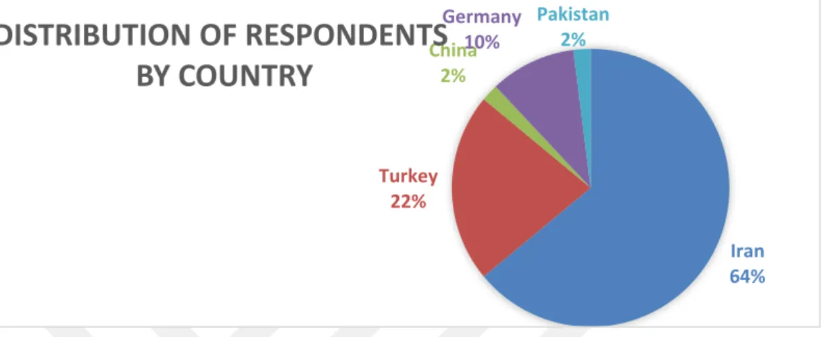 Figure 4.1: Distribution of Respondent/Organizations by Country 