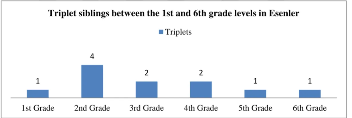 Table 3.14. Triplet Students' Grade Levels during the Spring Term of 2014-2015 and  Fall Term of 2015-2016 Academic Years