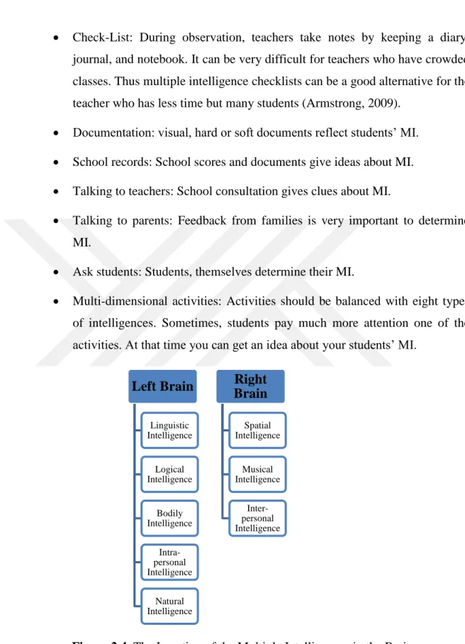Figure 2.4. The Location of the Multiple Intelligences in the Brain 