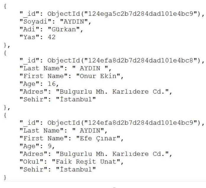 Şekil 3.1 JSON Nesne Örnekleri