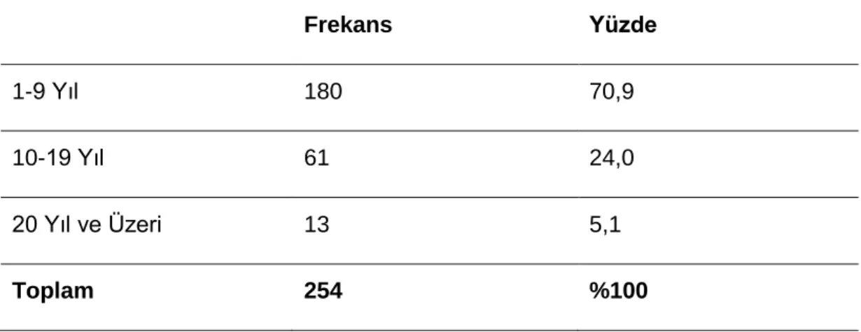Şekil 6.5: Mesleki Kıdem Değişkeni Yüzde Grafiği 