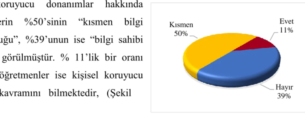 Şekil 5.19 : KKD Bilgi Oranları 