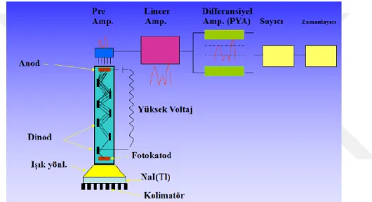 Şekil 2.8: SPECT Gama Kamera Bileşenleri (2)    