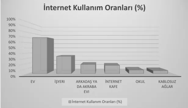 Şekil 2.5: İnternet Kullanım Oranları 