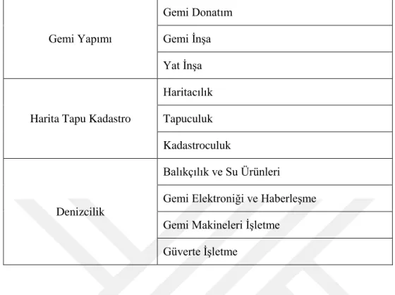 Çizelge 2.1: (devam)Türkiye‘de mesleki eğitim veren okullarda bazı alan ve dallar. 