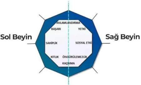 Şekil 9: Octalysis Sol-Sağ Beyin Dürtüler 