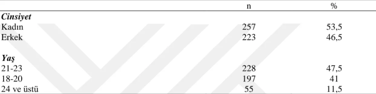 Çizelge 4.1: Demografik Veriler 