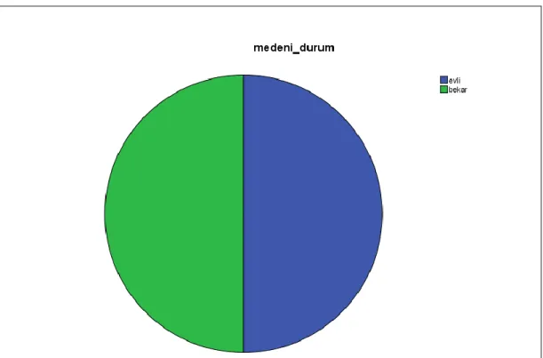 Çizelge 4.5: Medeni Duruma İlişkin Bulguları 