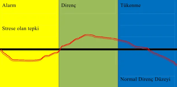 Şekil 2.2: Stres Oluşum Aşamaları  Kaynak: (Daft,2003) (Aktaran: Bertan, 2012) 