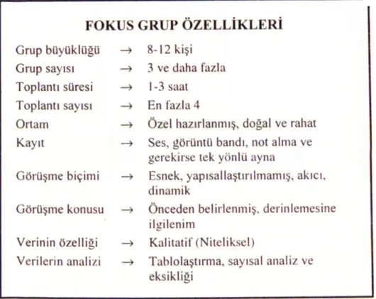 ġekil 4: Fokus Grup Özellikleri 