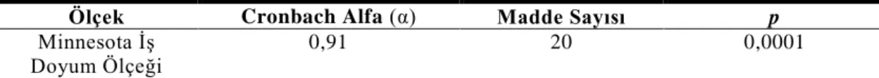 Çizelge 3.1.:Cronbach Alfa (α) Güvenilirlik Analizi Sonuçları 