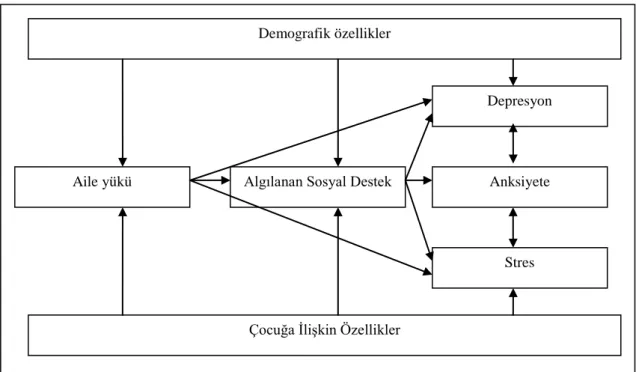 Şekil 1.1: Hipotez Şeması 