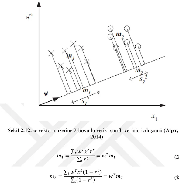 ġekil 2.12: w vektörü üzerine 2-boyutlu ve iki sınıflı verinin izdüşümü (Alpaydin  2014) 