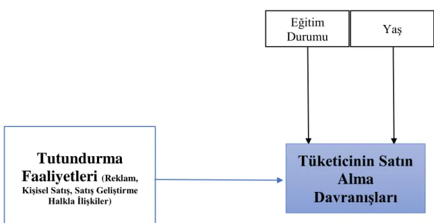 Şekil 1.1: Araştırma Modeli Tutundurma 
