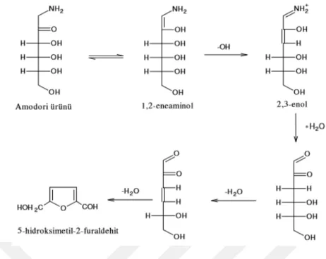 Şekil 2.2. Amadori ürününün hidroksimetilfurfurale dönüşümü (Saldamlı, 1998).  Maillard  reaksiyonlarının  hızı  ortam  sıcaklığı,  asitlik,  su  aktivitesi  (a w ), indirgen  şeker, aminoasit içeriği ve metal iyonlarına bağlıdır (Eskin, 1990; Roos ve Himb