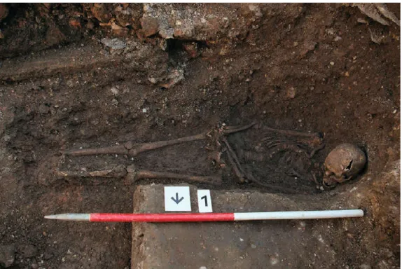 Figure 9.4: Skeleton of Richard III (The Grey Friars Excavation 2013)  