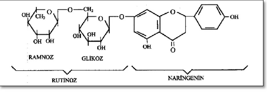 ġekil 2.5: Naringinin kimyasal yapısı (Altan, 1983a).   
