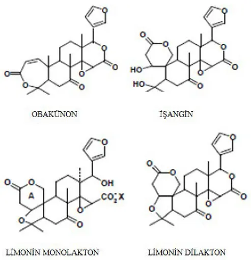 Şekil 2.1: Turunçgil limonoidlerinin kimyasal yapıları (Maier ve ark., 1977) 