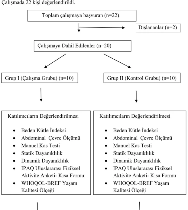 Şekil 3. 1: Klinik çalışma çizelgesi (diyagramı) 