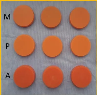 Şekil  2.1.  Çalışmamızda  kullanılan  akrilik  bloklar;  M  (M-PM™  DISC  (Merz  Dental  GmbH, 