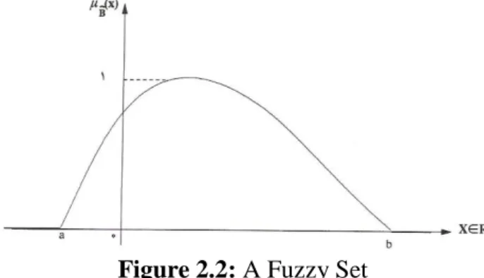 Figure 2.2: A Fuzzy Set   Source: Adel Azar, 2008 