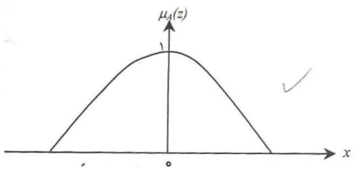 Figure 2.3: The Graph Shows the Fuzzy Number   Source: Momini 