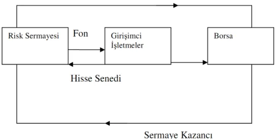 Şekil 2.1 Risk sermayesinin çalışma sistemi (EVCA,2000:16) 