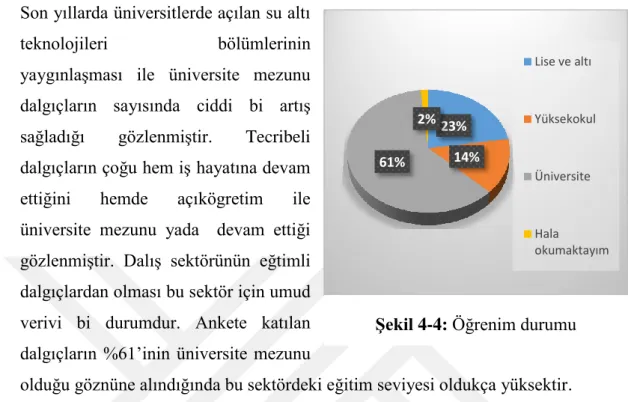 Şekil 4-5: Diploma veya mesleki 