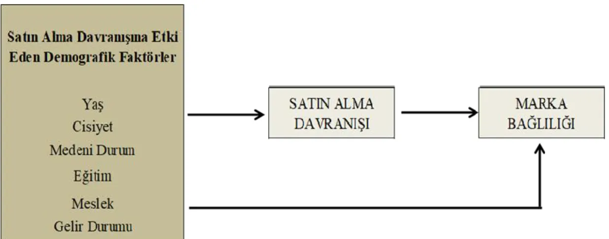 Şekil 4.1: Araştırmanın Modeli 