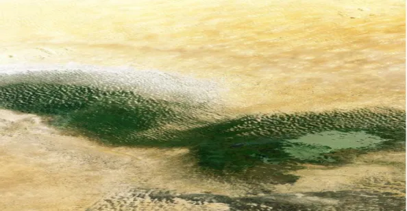 Figure 4.2 Lake Chad showing its fatal remains  Source: Our Africa, 2017, http://www.our-africa.org/chad/lake-chad 