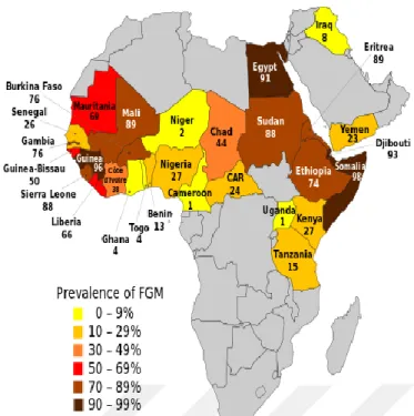 Figure 4.8 The map of Africa showing the most endemic regions where female  genital mutilation is practiced between the ages of 14-50 