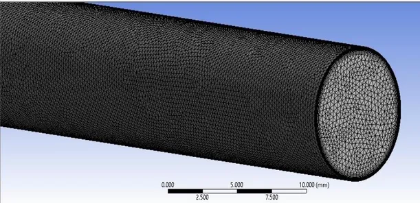 Şekil  4.1‘de  meshlenmiş  halini  gördüğünüz  8  mm  çapında  200  mm  uzunluğundaki  tüpün  analizi  2x10 4 