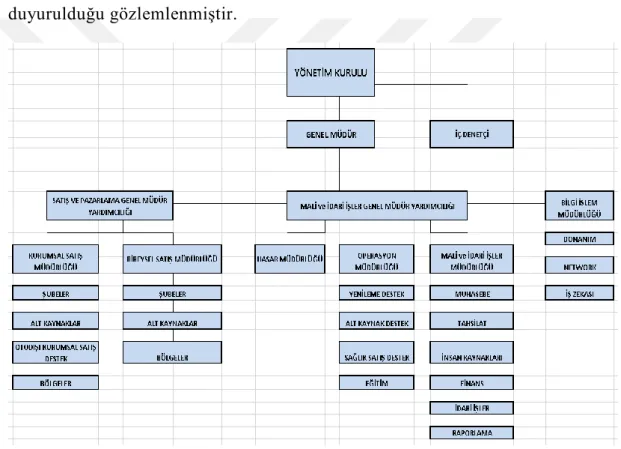 Şekil 4.4: Şirket Organizasyon Şeması 