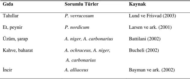 Çizelge 3.2: Çeşitli gıdalarda OTA kontaminasyonundan sorumlu mantar türleri  (Varga ve ark., 2006)