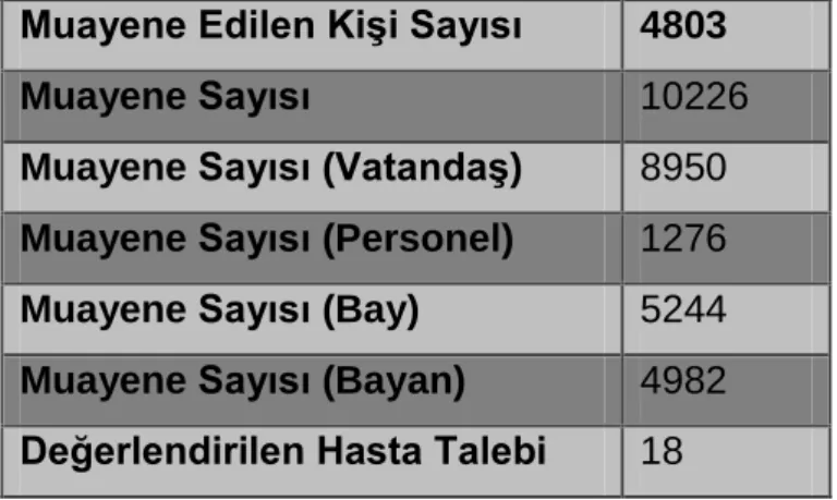Tablo 5 : Hemşirecililik ve Laboratuar Hizmetleri 