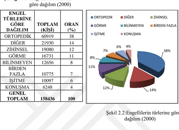 Çizelge 2.8 ve Şekil 2.2’de yer alan nüfus sayımı (2000) verilerine göre İstanbul’da  yaşayan toplam nüfusun yüzde 1,21’i (158.436) engellidir