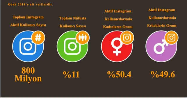 Şekil 5.10: We Are Social platformunun Ocak 2018‟e ait instagram kullanım verileri 