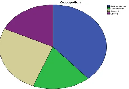 Figure 7: Occupation 