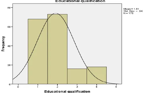 Figure 5: Education Qualification 