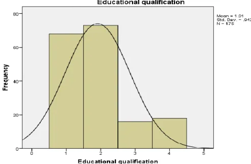 Figure 5: Education Qualification 