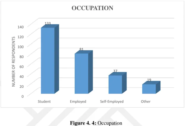 Figure 4. 4: Occupation 
