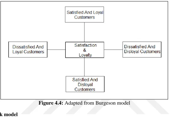 Figure 4.4: Adapted from Burgeson model   Tek model 