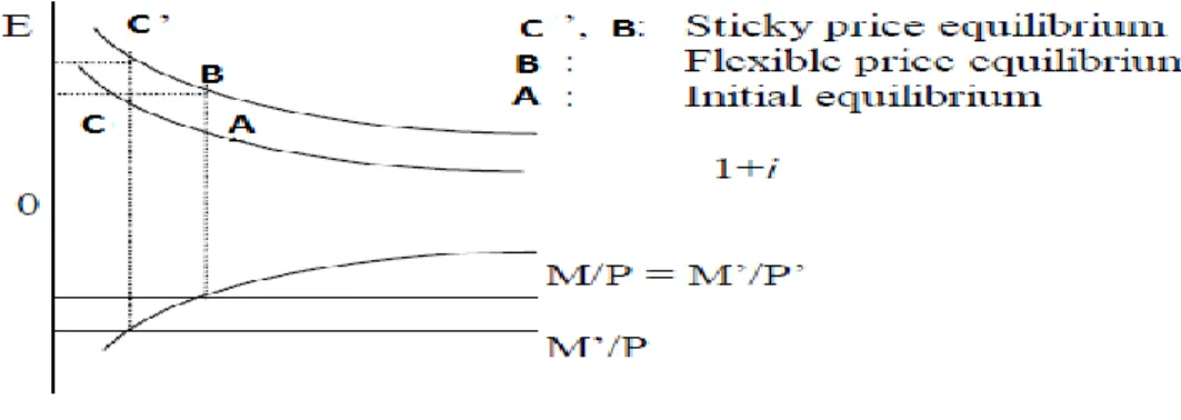 Figure 2.3: Exchange Rate Overshooting 