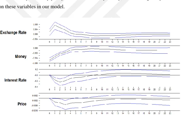 Figure 5.1: (a) Domestic Monetary Policy Shock 