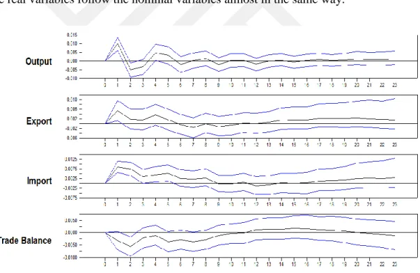 Figure 5.2(b) Domestic Monetary Policy Shock 