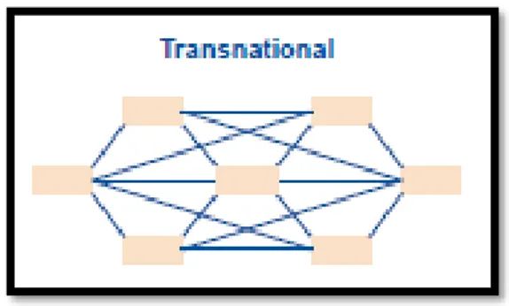 Figure 3.4: Transnational organisations entity connection   Source: (Ietto – Gillies, G